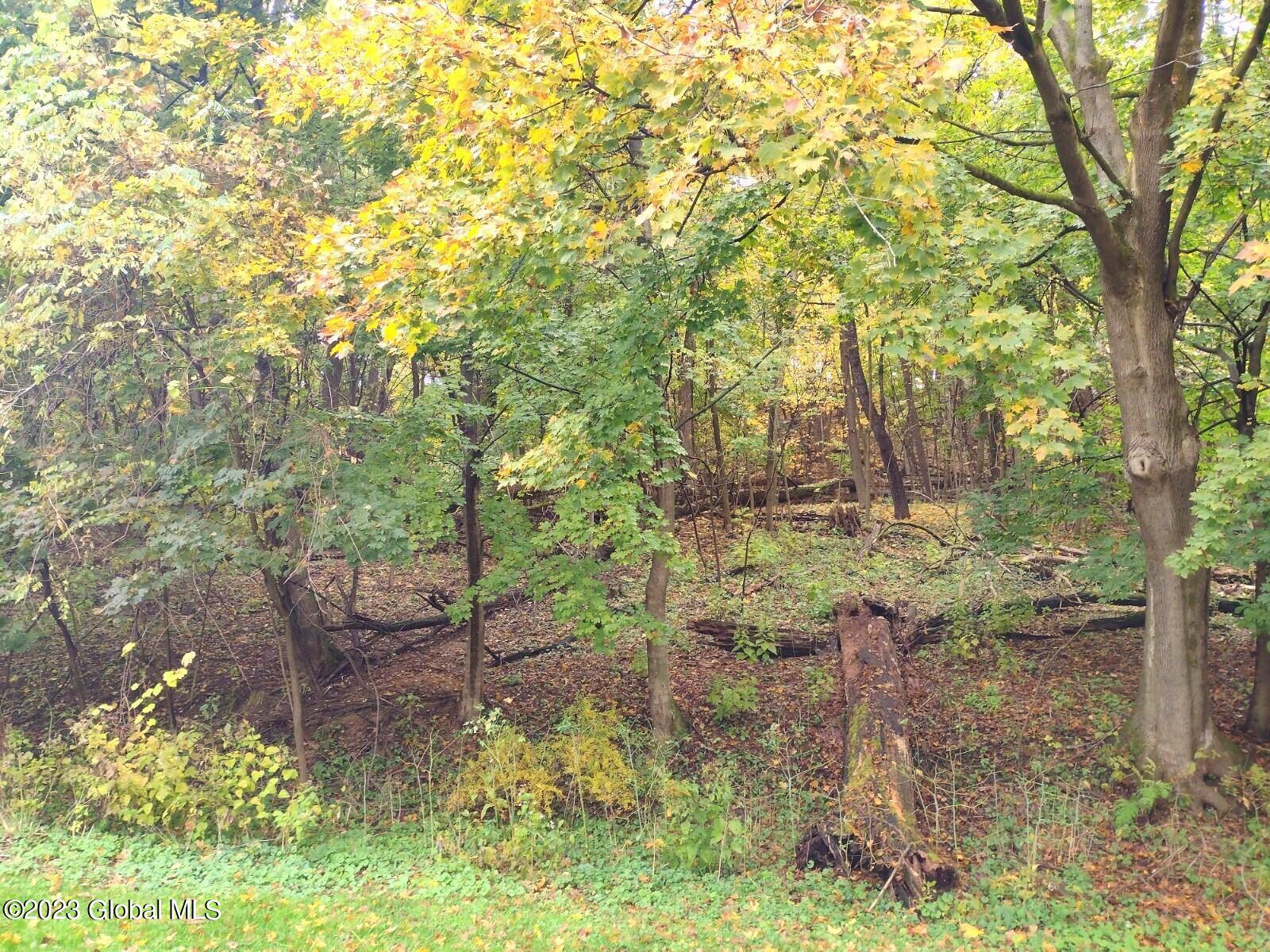 20 Schermerhorn Road Rotterdam, NY 12306 - Photo 31 of 37 IMG_20221025_125316745