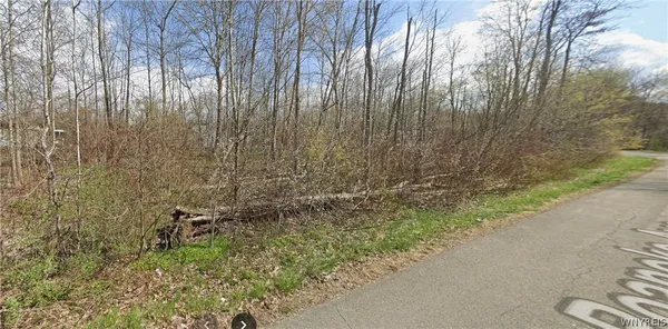 $30,000 | V/l Roanoke Avenue, Evans, NY 14006