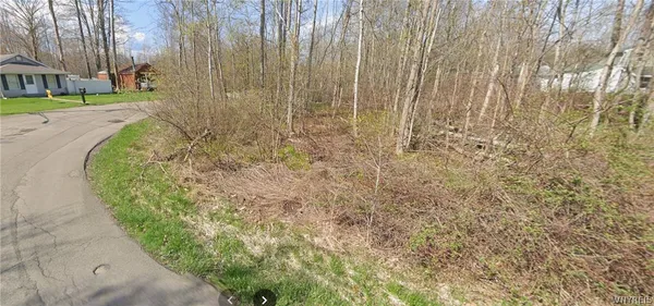 $30,000 | V/l Roanoke Avenue, Evans, NY 14006