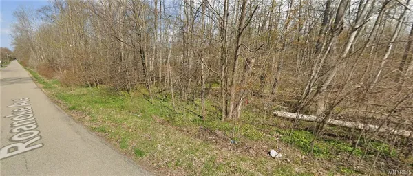 $30,000 | V/l Roanoke Avenue, Evans, NY 14006