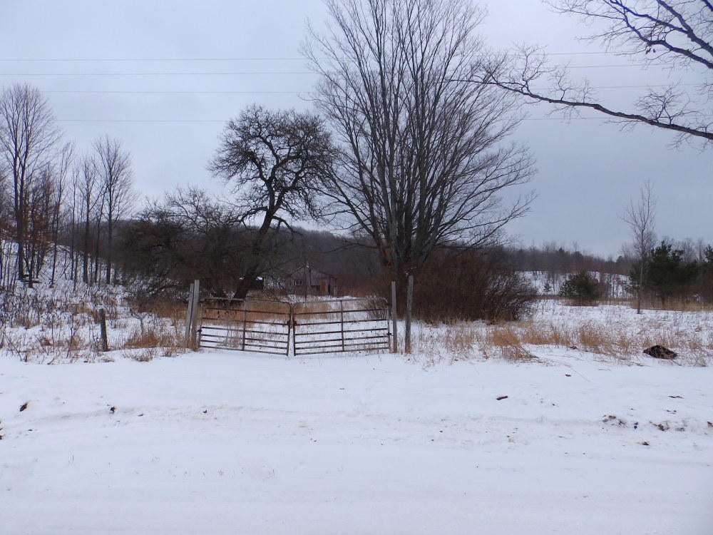 Keil Road Mancelona, MI 49659 - Photo 14 of 48 Gallery Image 14