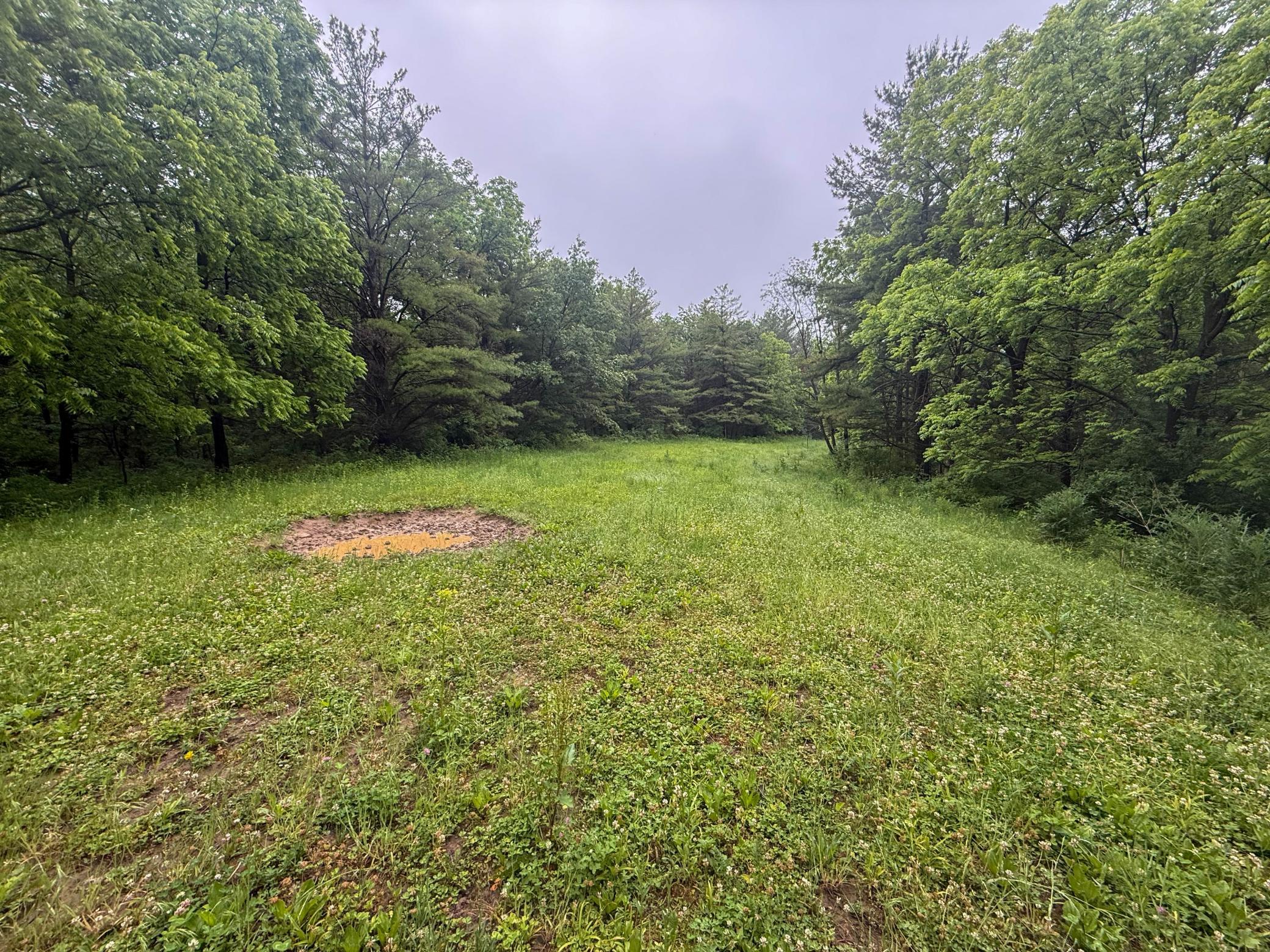 11719 Ridgeview Road Hokah, MN 55941 - Photo 60 of 90
