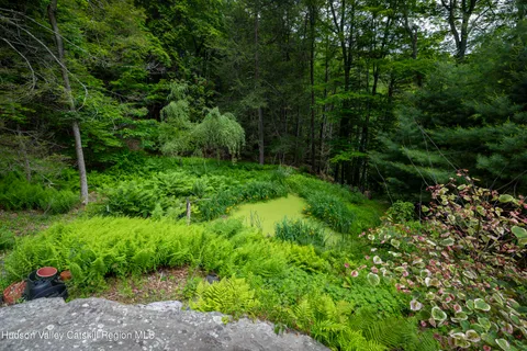 a view of a garden with plants and large trees