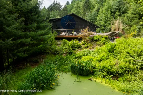 a view of a garden with a bench