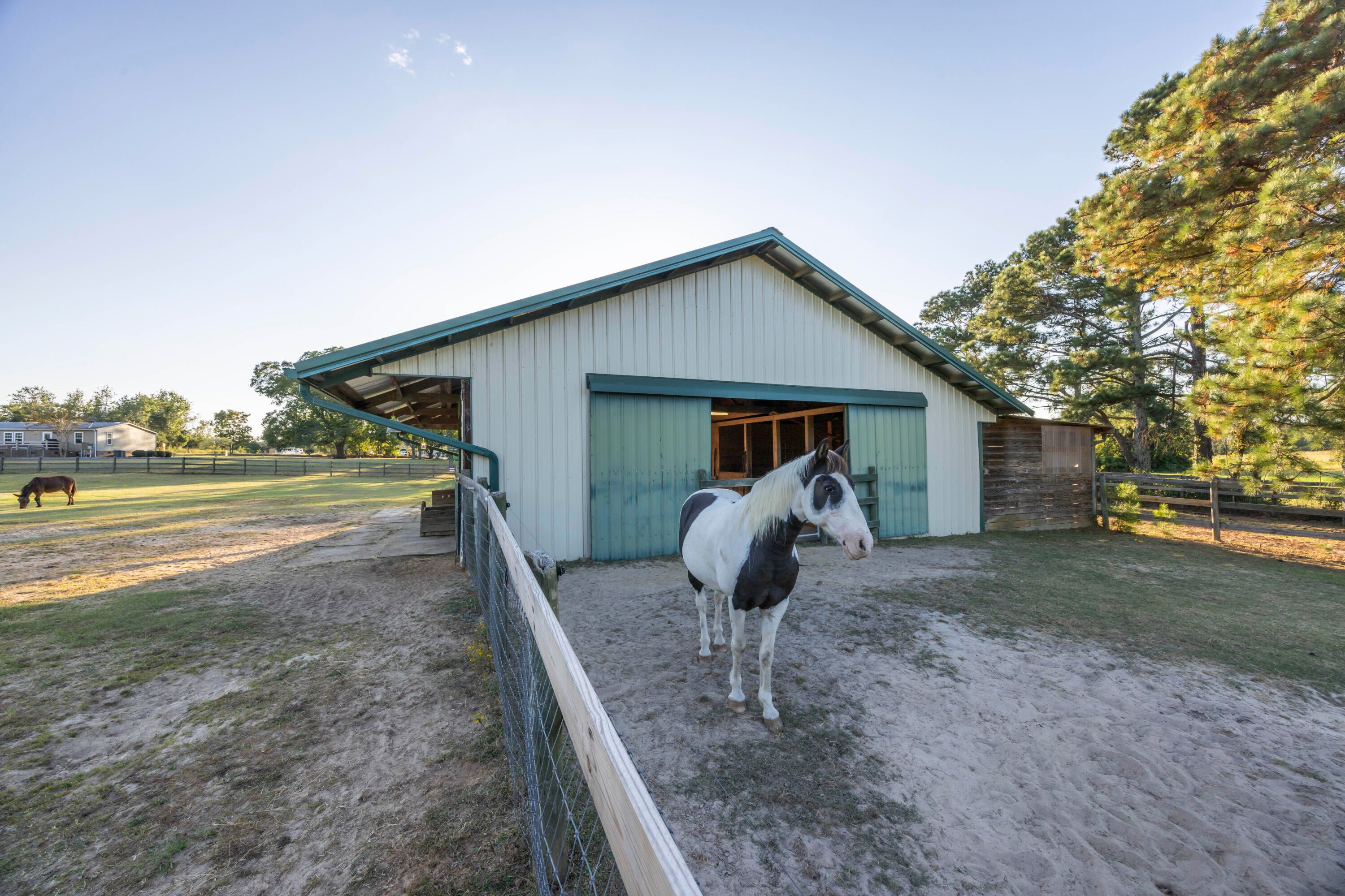 269 Holmes Pond Road Johnston, SC 29832 - Photo 37 of 51 Gallery Image 37