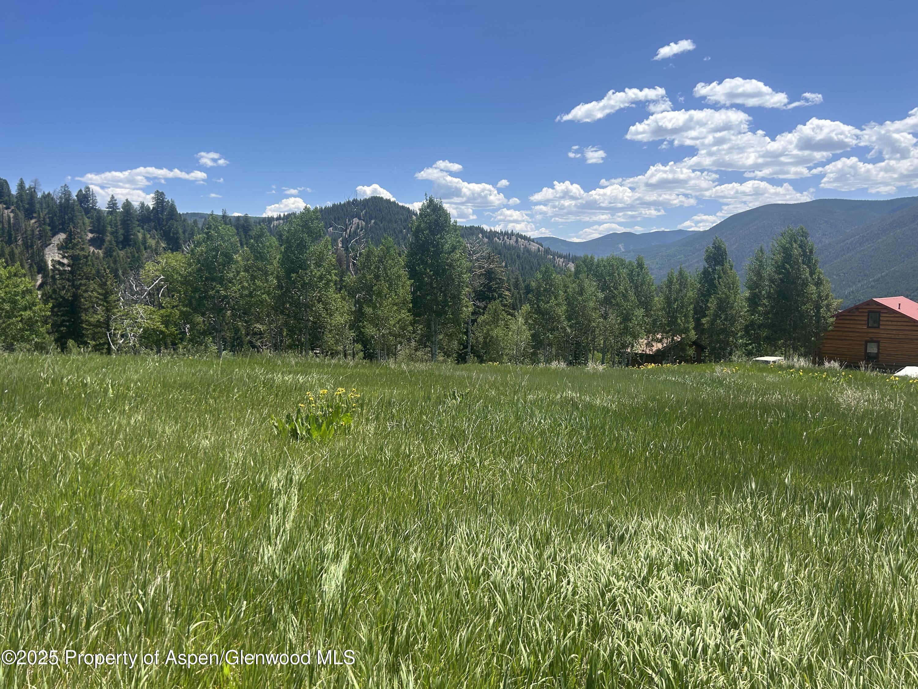 1239 McLaughlin Lane Basalt, CO 81621 - Photo 11 of 14 7
