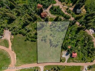 1239 McLaughlin Lane Basalt, CO 81621 - Photo 6 of 14 12