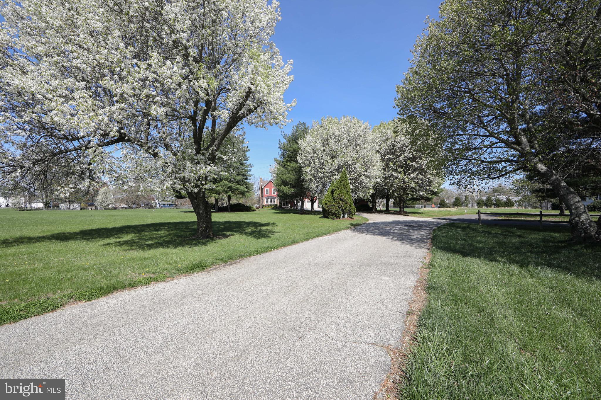 17 Bridge (hayfield - Easement) Road Lumberton, NJ 08048 - Photo 54 of 69 Driveway
