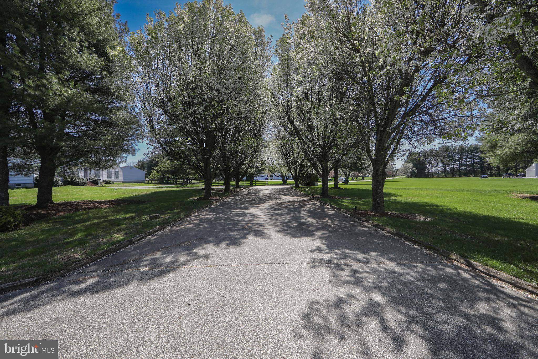 17 Bridge (hayfield - Easement) Road Lumberton, NJ 08048 - Photo 63 of 69 Driveway