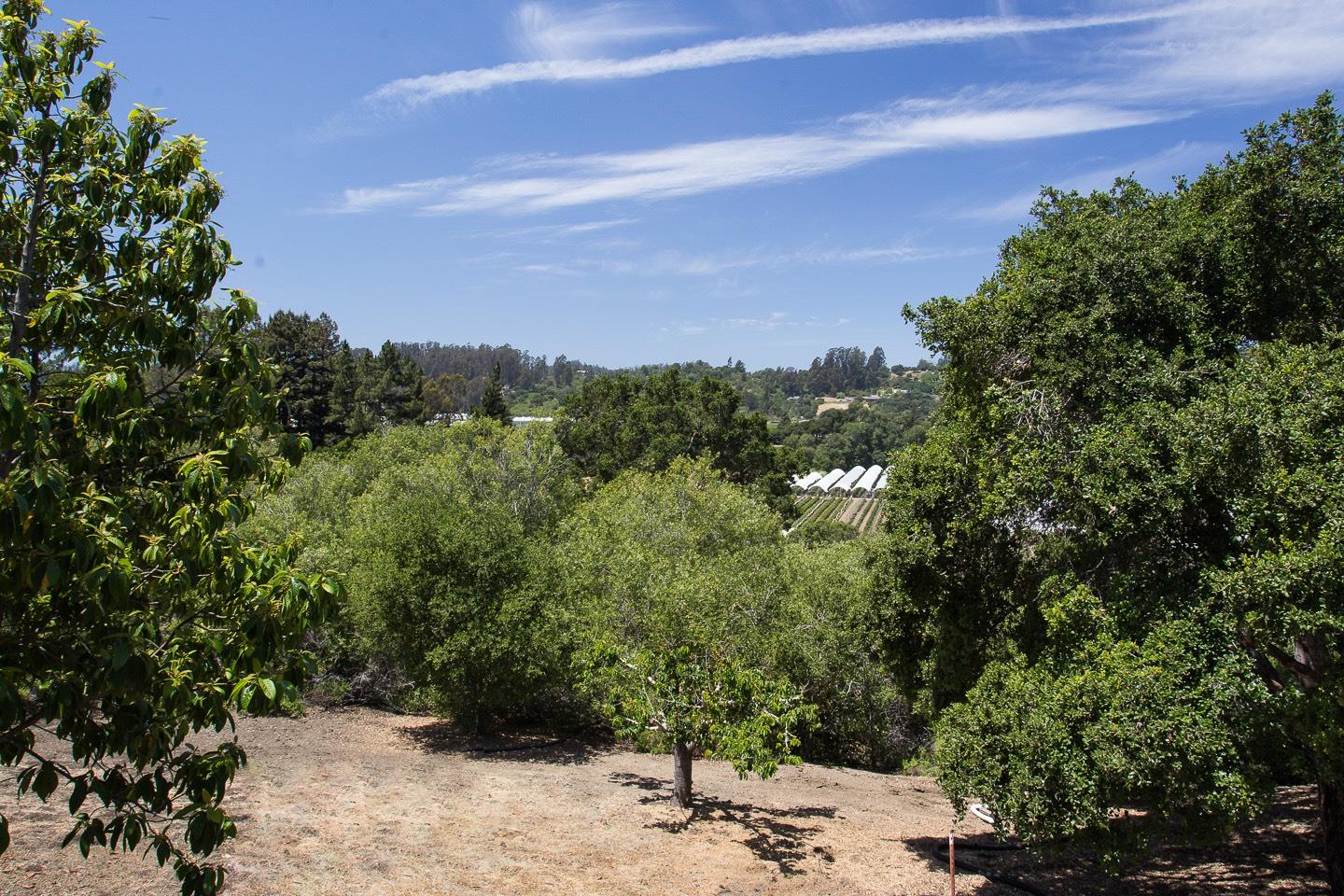 1318 Amesti Road Watsonville, CA 95076 - Photo 17 of 21 Gallery Image 17