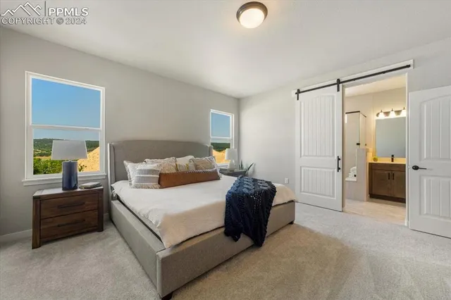 a bedroom with a bed and a couch