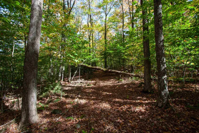 $350,000 | 1052 Ccc Road, Shrewsbury, VT 05738