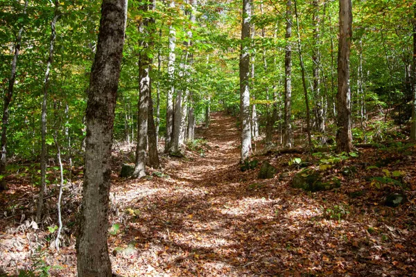 $350,000 | 1052 Ccc Road, Shrewsbury, VT 05738