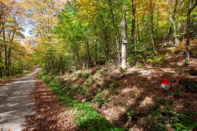 $350,000 | 1052 Ccc Road, Shrewsbury, VT 05738