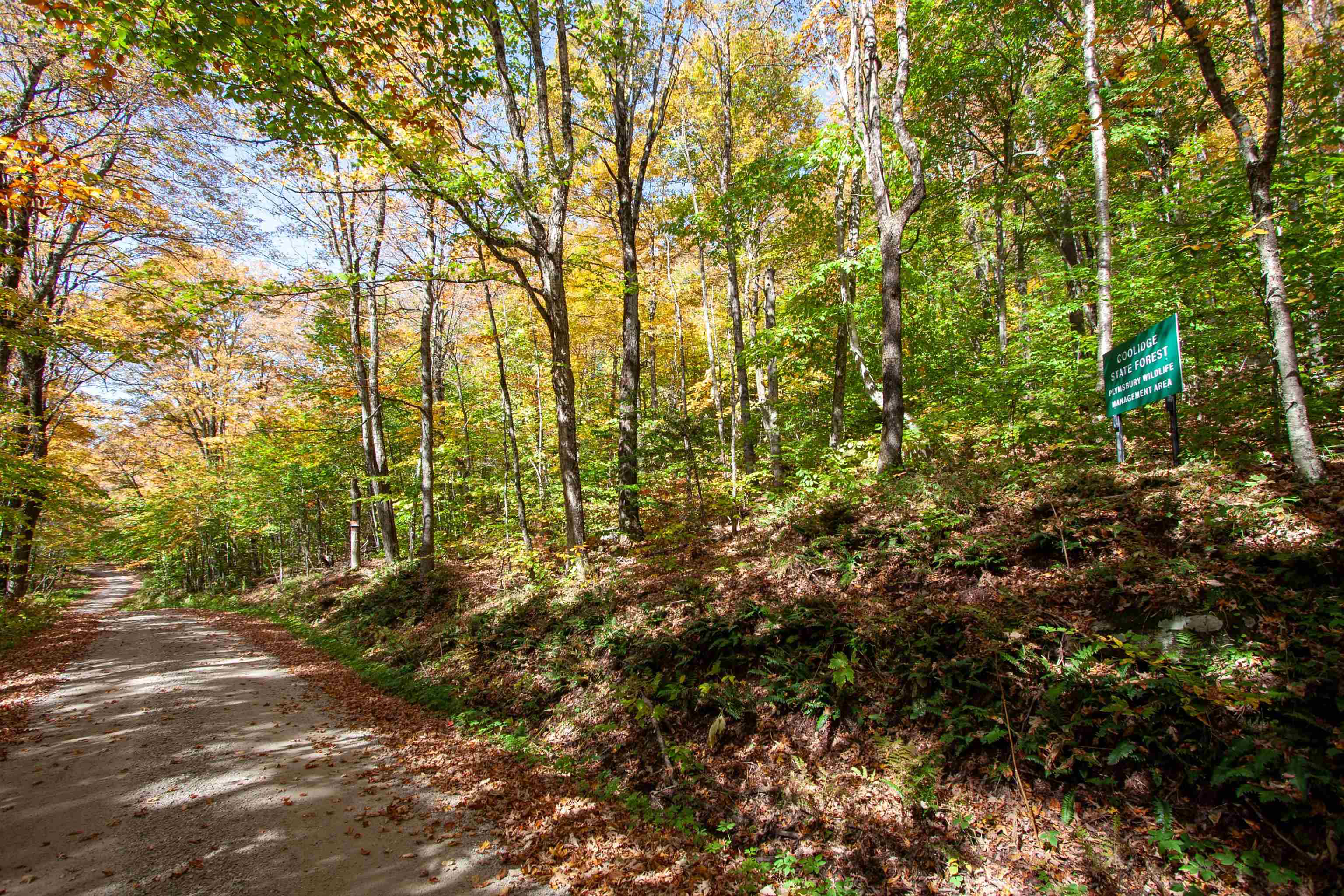 1052 Ccc Road Shrewsbury, VT 05738 - Photo 14 of 15