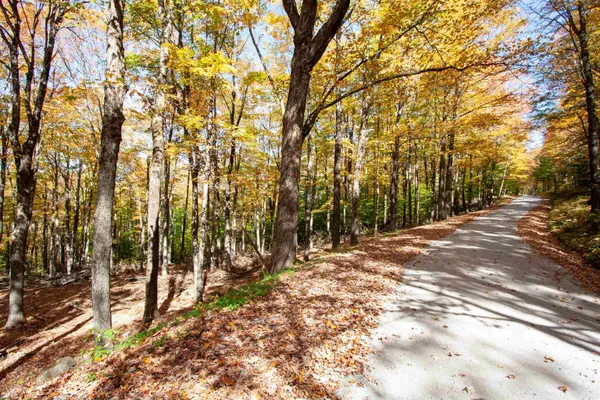 $350,000 | 1052 Ccc Road, Shrewsbury, VT 05738
