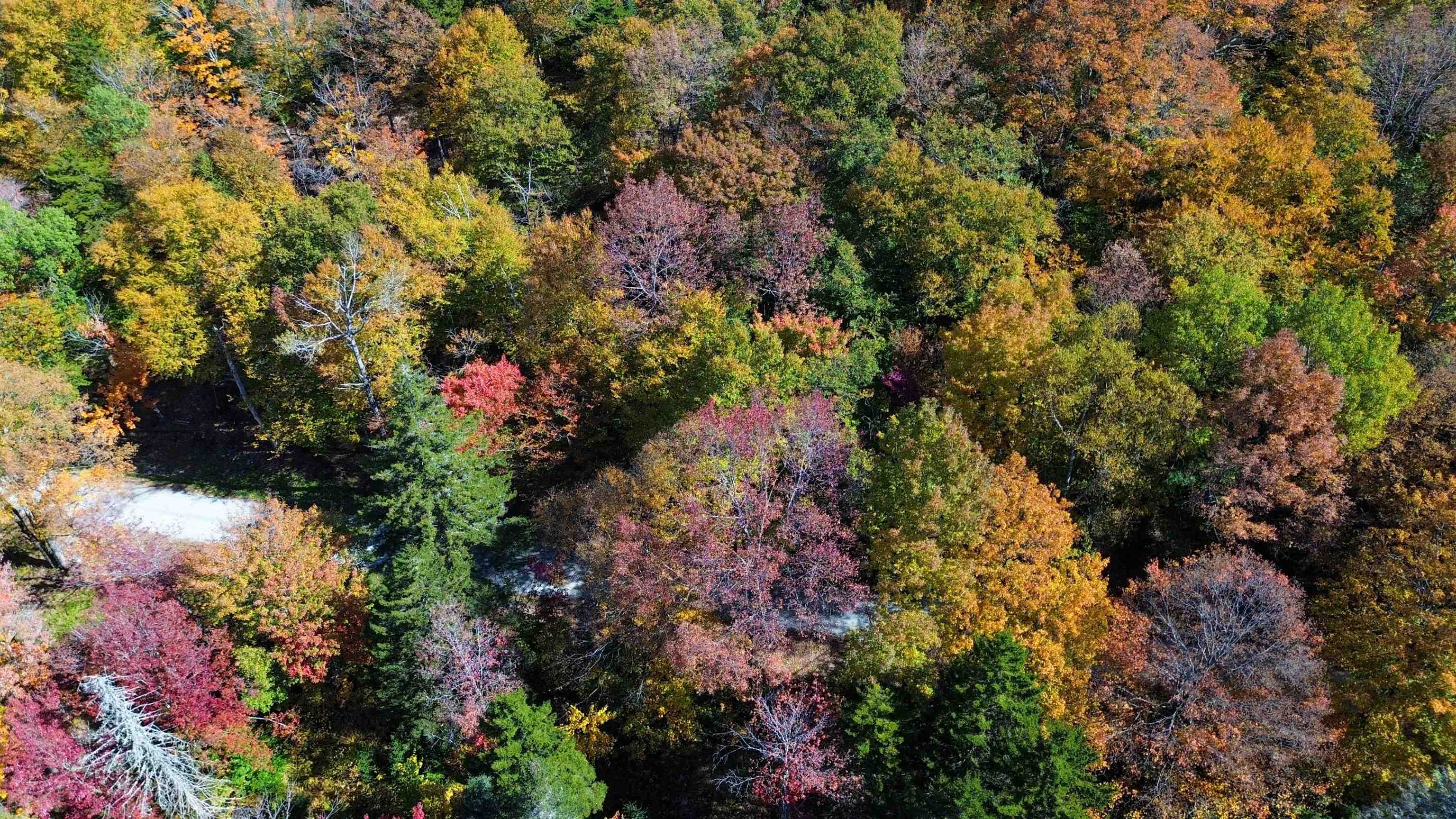 1052 Ccc Road Shrewsbury, VT 05738 - Photo 6 of 15
