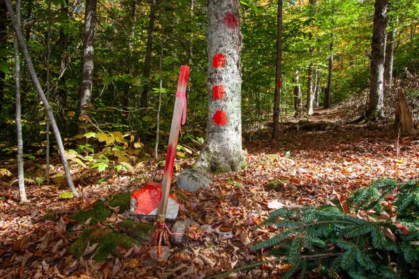 $350,000 | 1052 Ccc Road, Shrewsbury, VT 05738