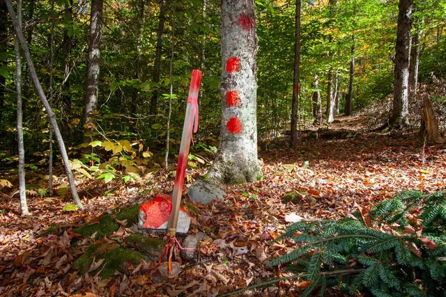 $350,000 | 1052 Ccc Road, Shrewsbury, VT 05738