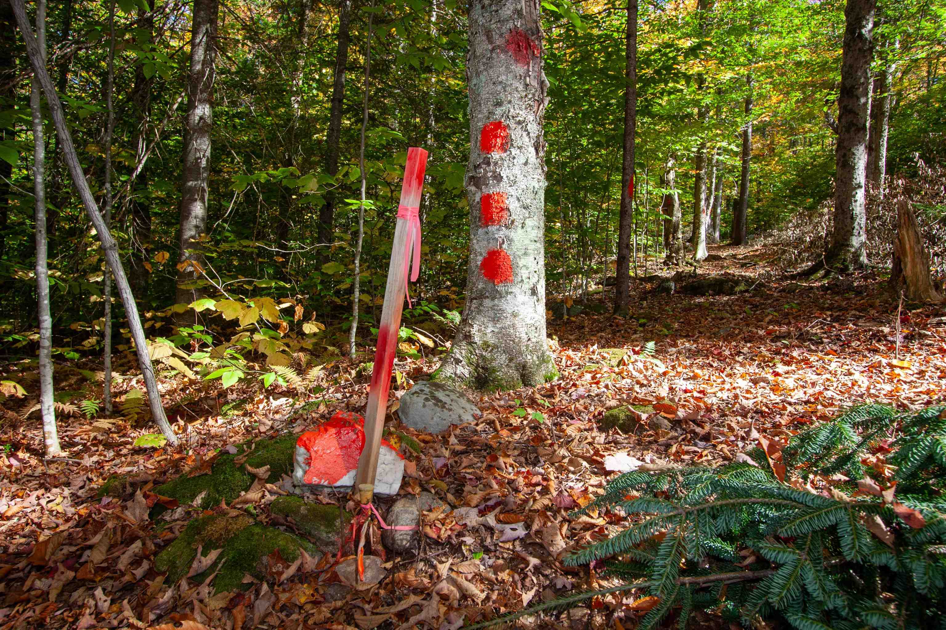 1052 Ccc Road Shrewsbury, VT 05738 - Photo 9 of 15