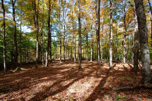 $350,000 | 1052 Ccc Road, Shrewsbury, VT 05738