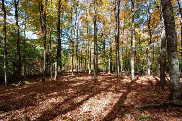 $350,000 | 1052 Ccc Road, Shrewsbury, VT 05738