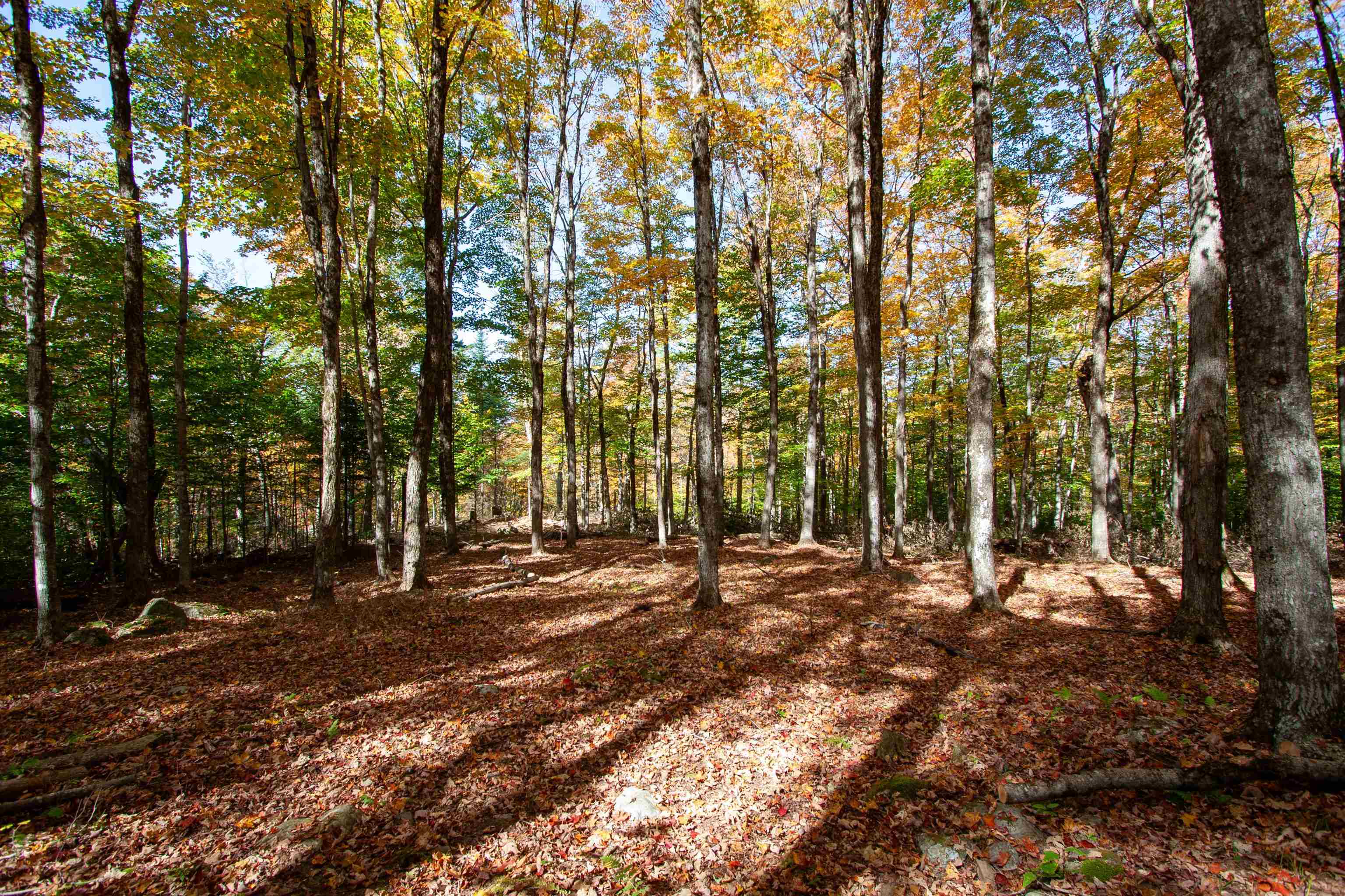 1052 Ccc Road Shrewsbury, VT 05738 - Photo 10 of 15