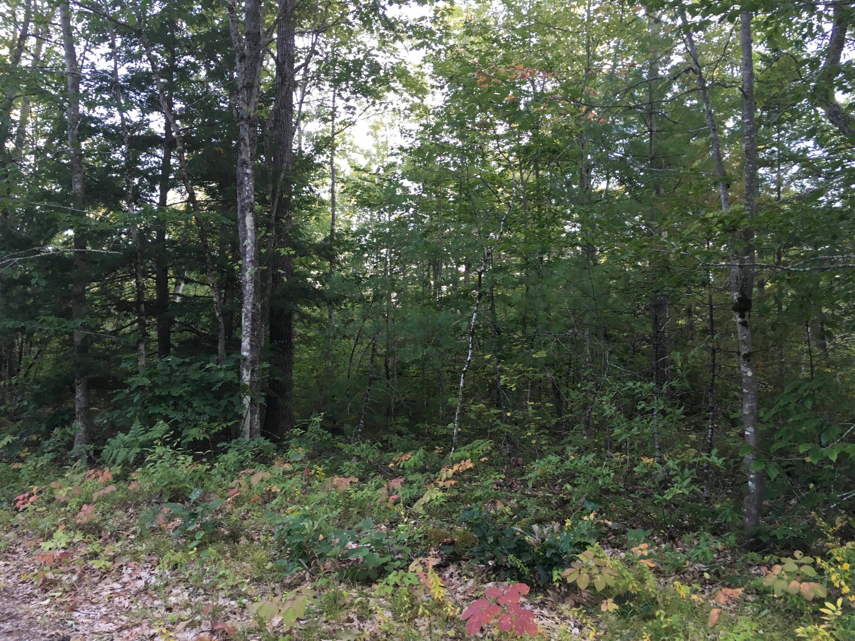 32-acres Sand Pond Road East Baldwin, ME 04024 - Photo 3 of 11 10A1E29B-51A9-43F8-ACDB-7574F8AA0FE1