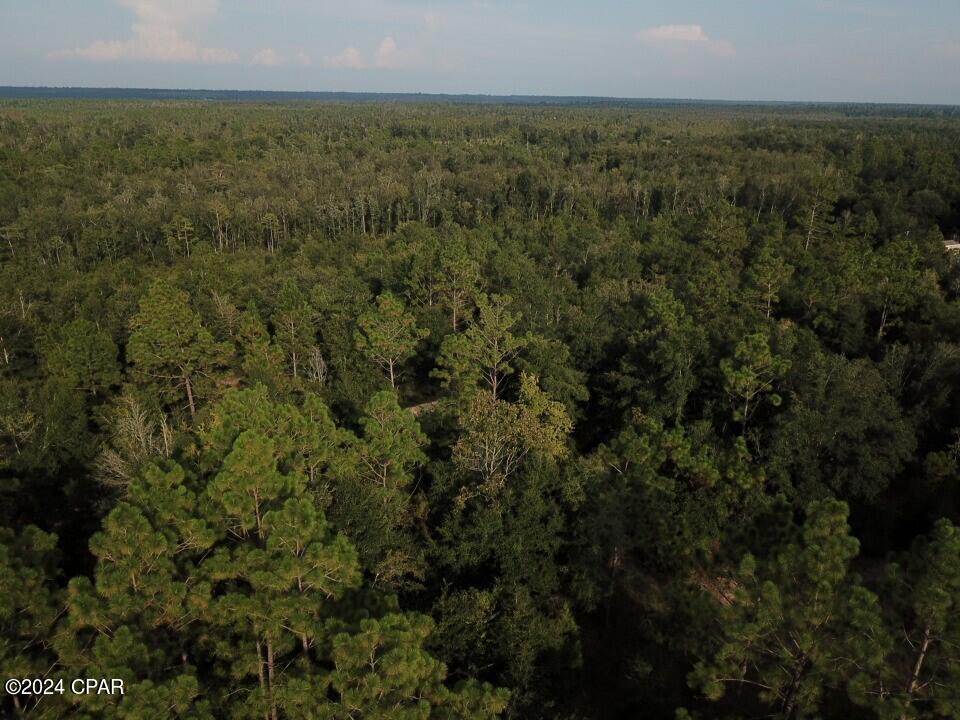 Tbd Chason Road Marianna, FL 32448 - Photo 5 of 16 Gallery Image 5