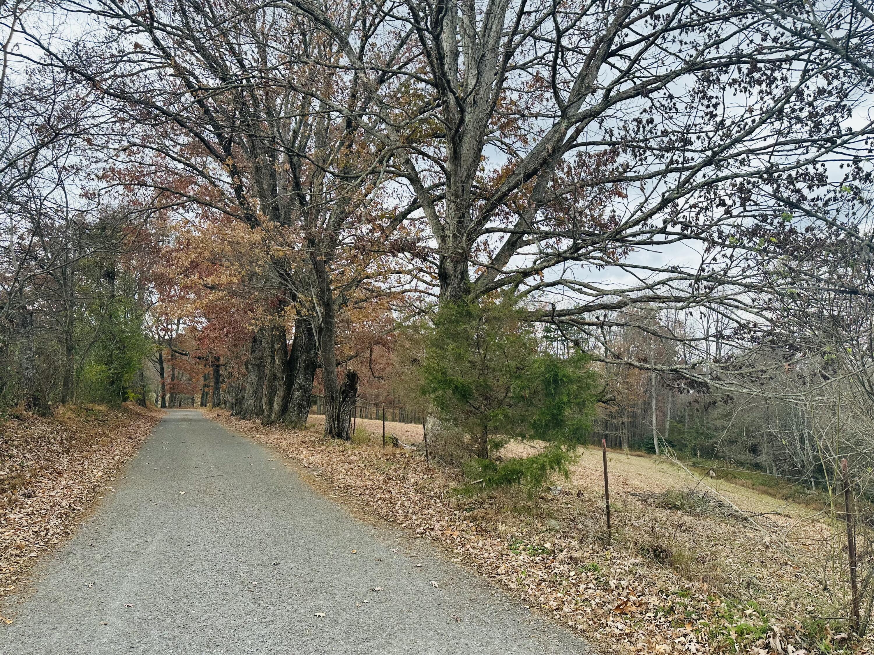 481 Hitchcock Road Dunlap, TN 37327 - Photo 69 of 70 ROAD GOING TO PROPERTY