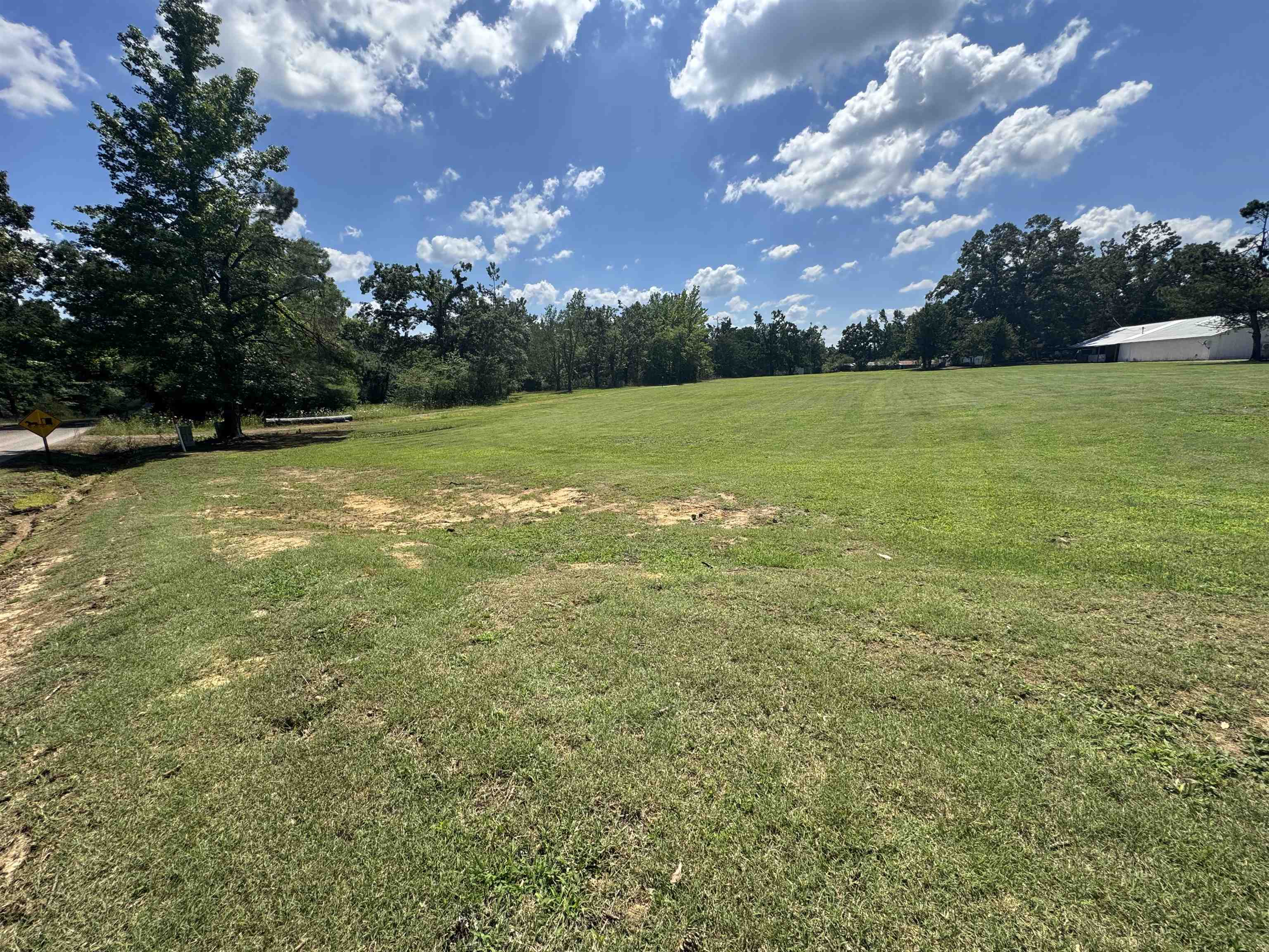 2511 Watkins Road Michie, TN 38357 - Photo 36 of 40 Expansive green space featuring mature trees and a distant structure