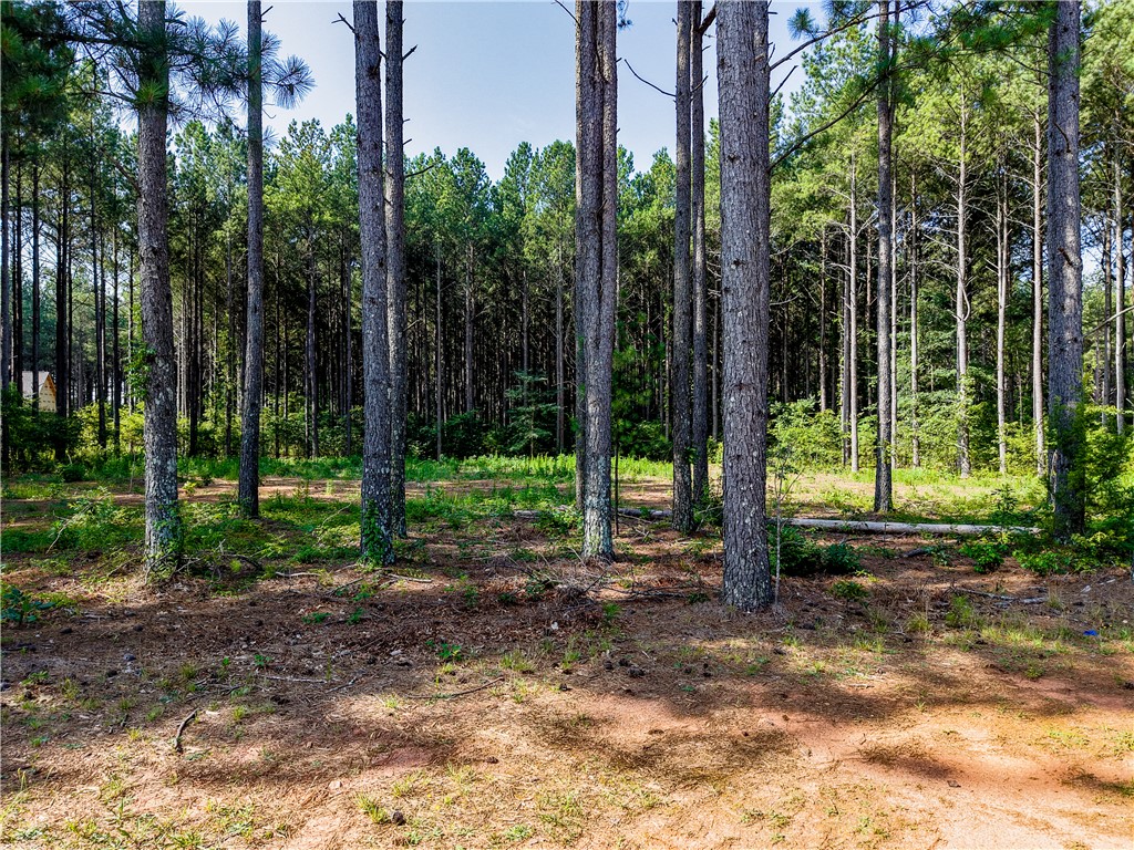 Lot C-2 Lot C-2 Rogers Road Pendleton, SC 29670 - Photo 3 of 10 Gallery Image 3