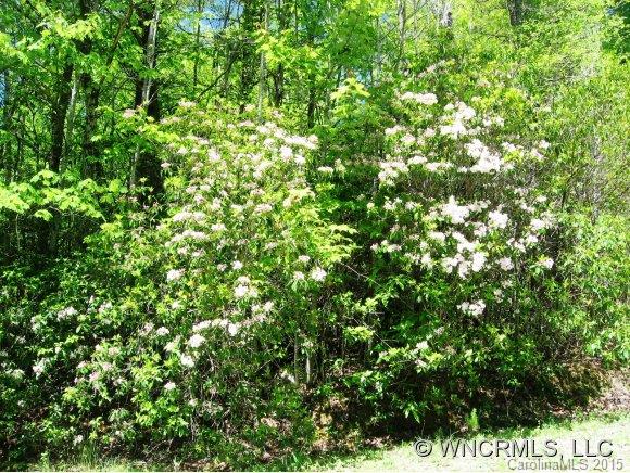 2151 Line Runner Ridge Road Rosman, NC 28772 - Photo 15 of 24 Gallery Image 15