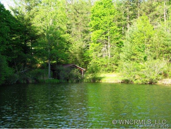 2151 Line Runner Ridge Road Rosman, NC 28772 - Photo 19 of 24 Gallery Image 19