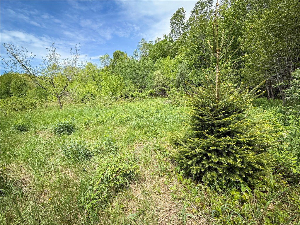 Gifford Road Hannibal, NY 13074 - Photo 29 of 50