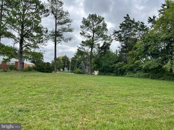 a view of a field with trees