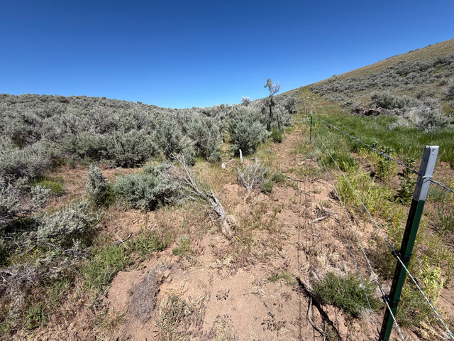 Mud Springs St. Charles, ID 83272 - Photo 15 of 29