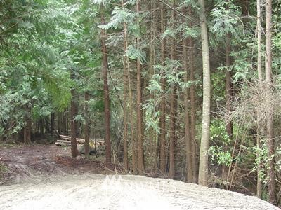 1 B Islandale Road Lopez Island, WA 98261 - Photo 1 of 1 Gallery Image 1