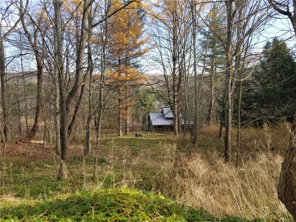 1718 Highway 51 Butternuts, NY 13808 - Photo 1 of 1