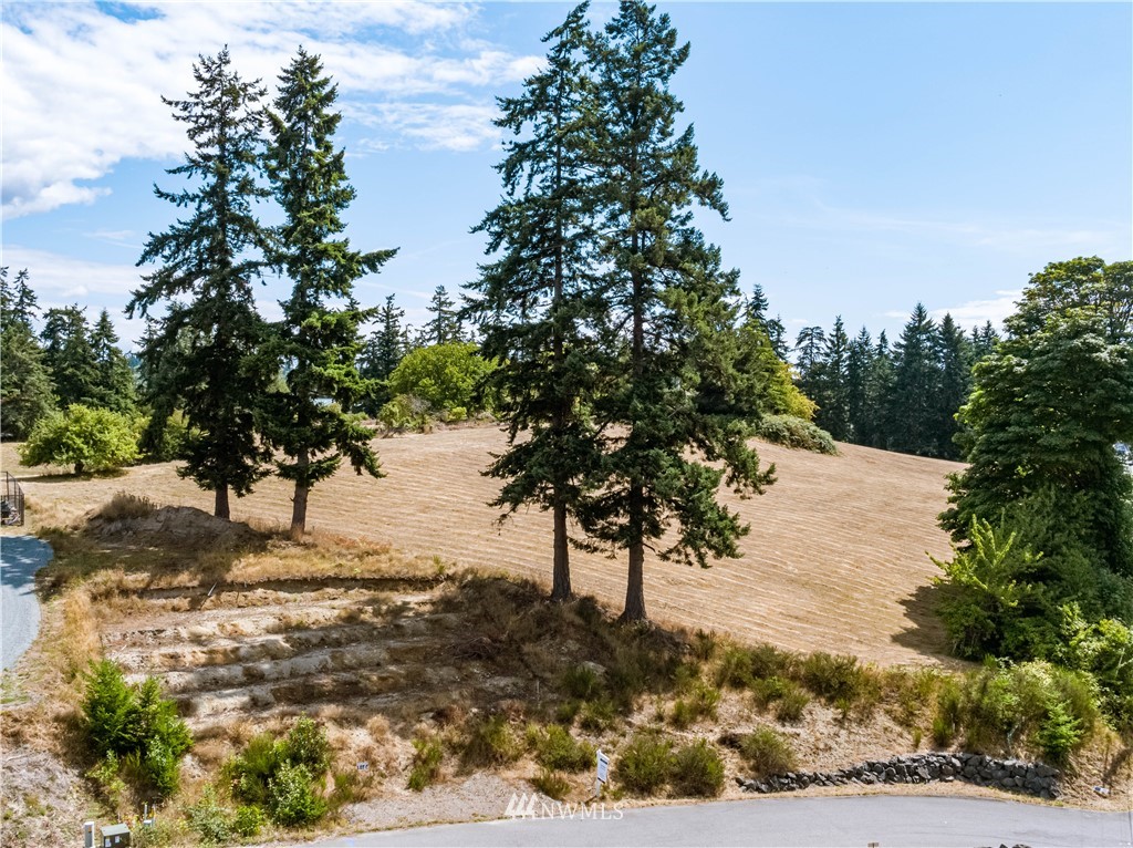 5453 Harborside Lane Freeland, WA 98249 - Photo 6 of 14