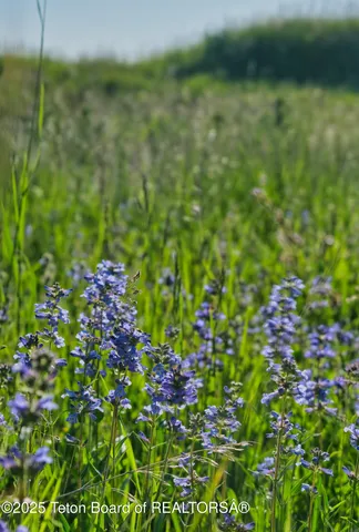 $2,195,000 | 475 East Alta Ski Hill Road, Alta, WY 83414