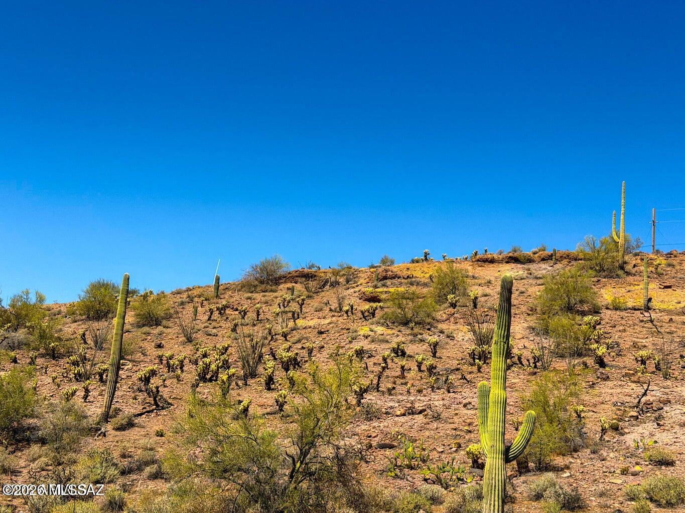 0 North Elephant Butte Road Gold Canyon, AZ 85118 - Photo 20 of 24