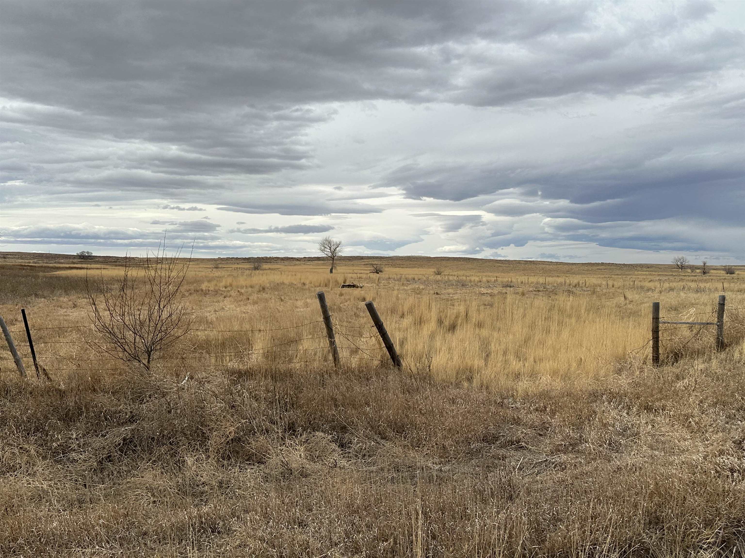 Rd Rd 63rd Hawk Springs Yoder, WY 82244 - Photo 3 of 8