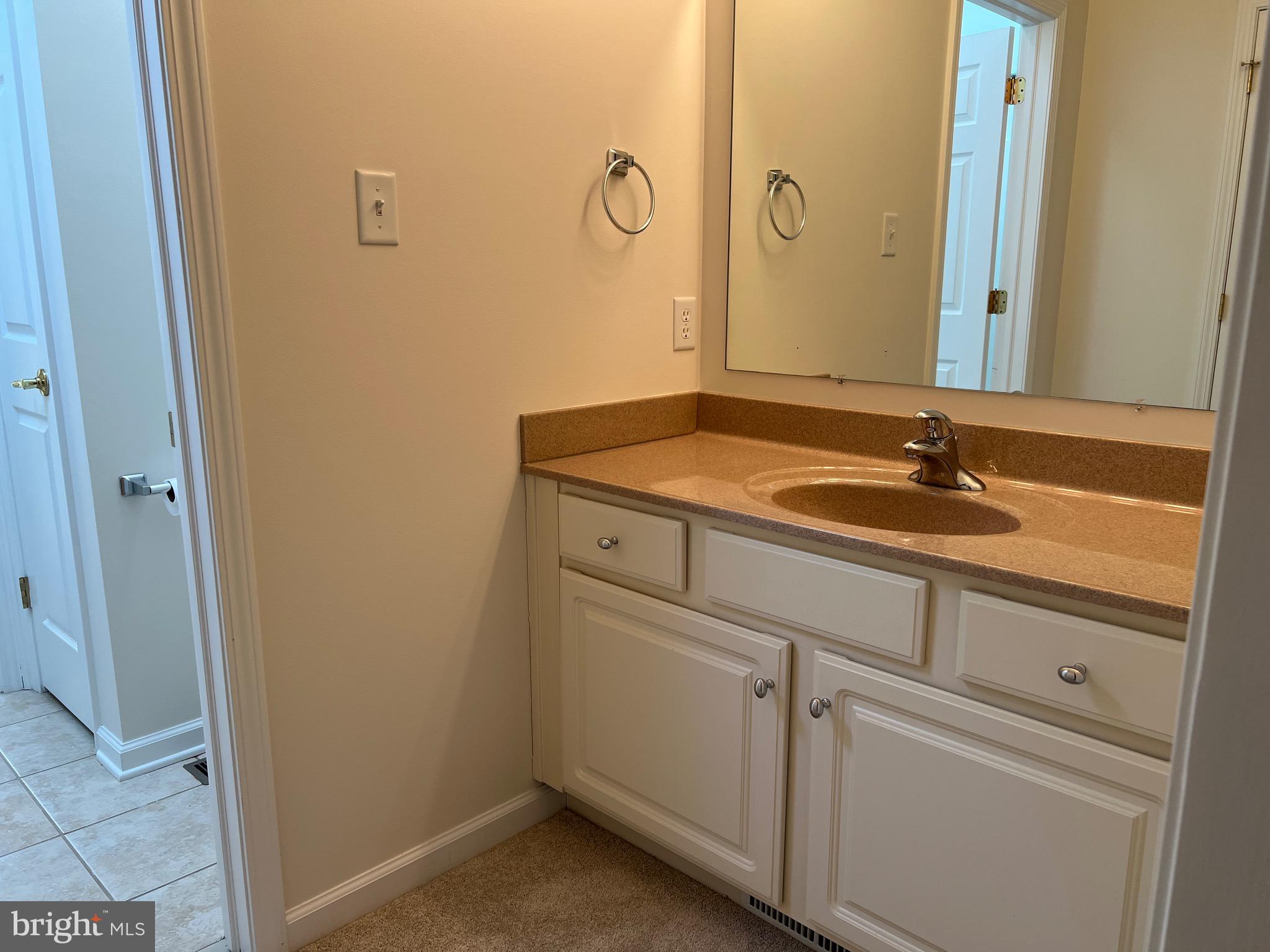 6337 Medina Ridge Drive Fayetteville, PA 17222 - Photo 46 of 50 a bathroom with a sink and a mirror