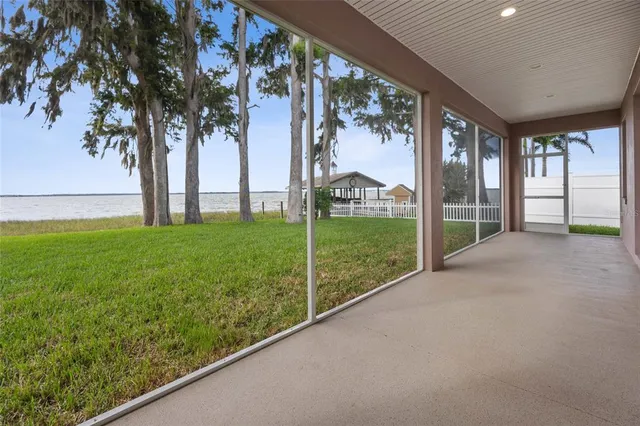 a view of backyard with large tree