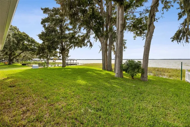 a view of a trees with a yard