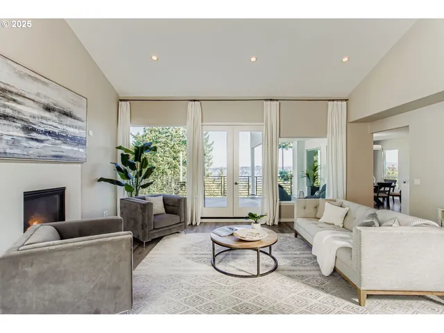 a living room with furniture potted plant and a fireplace