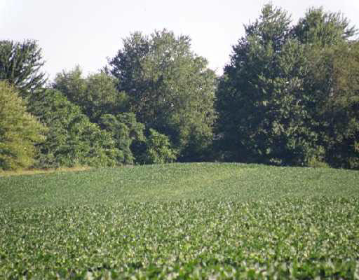 2 Locust Road South Bend, IN 46614 - Photo 3 of 5 Gallery Image 3