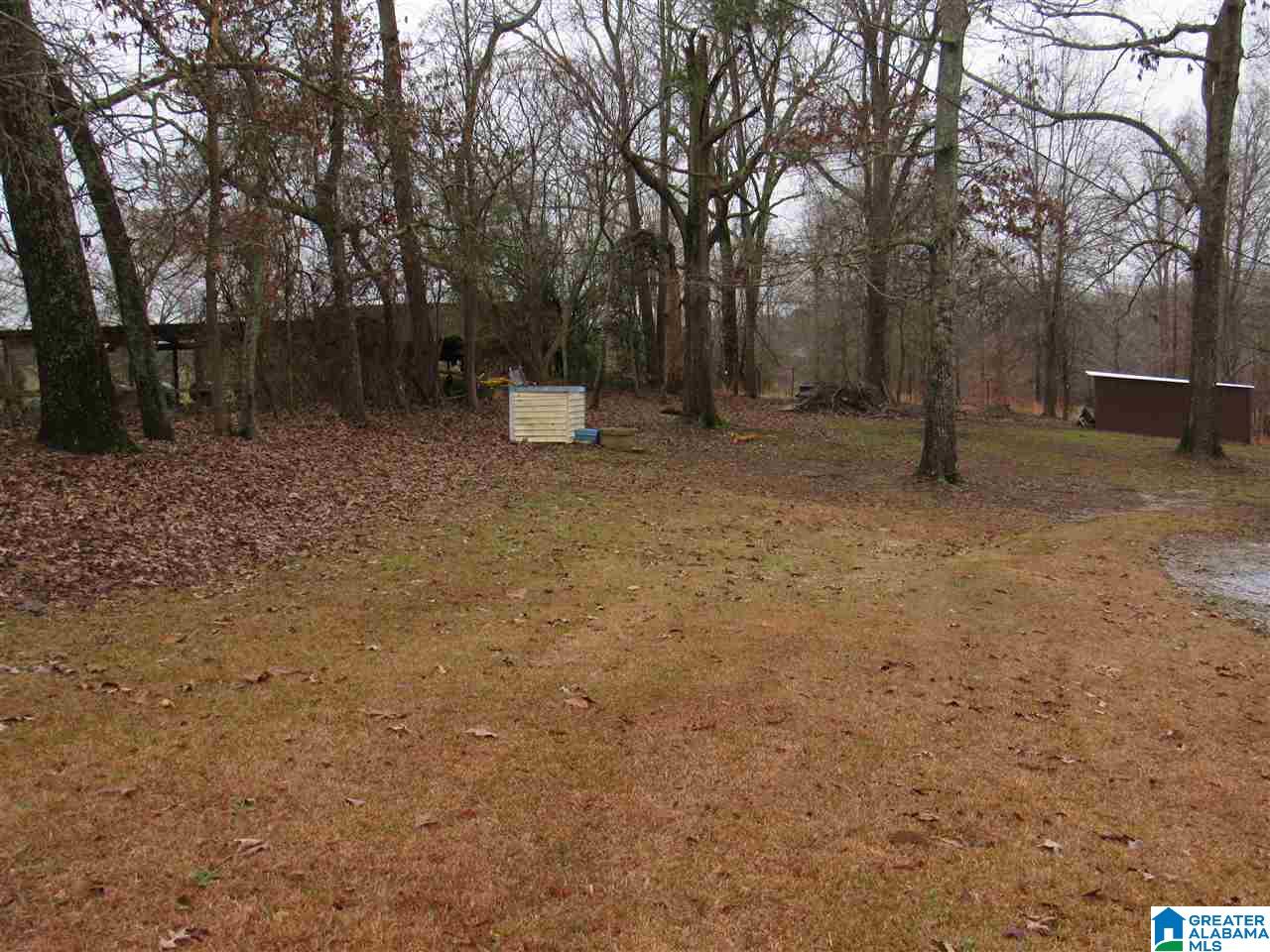 190 County Road 484 Clanton, AL 35046 - Photo 10 of 45