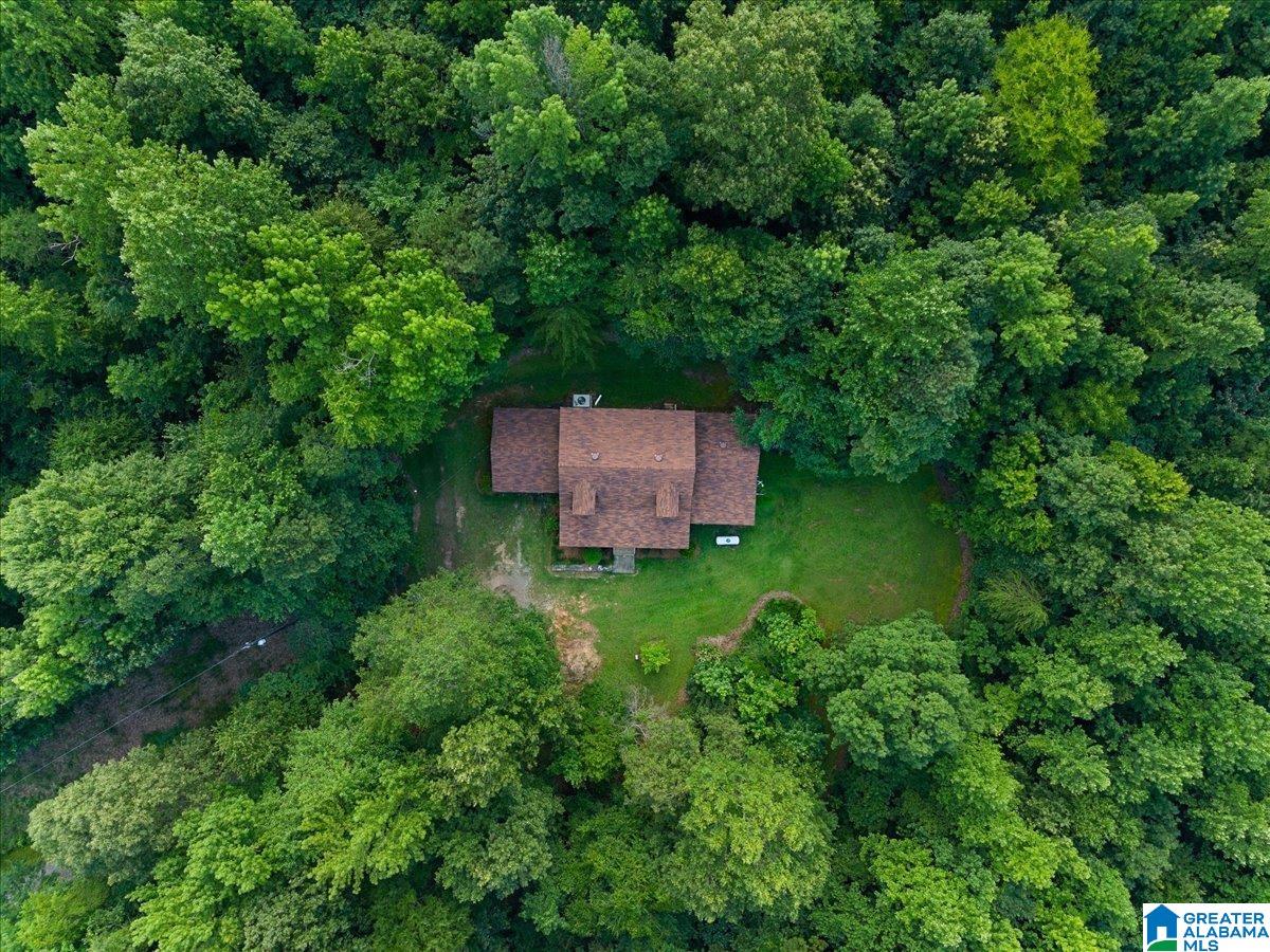 7950 Joy Road Blountsville, AL 35031 - Photo 6 of 35